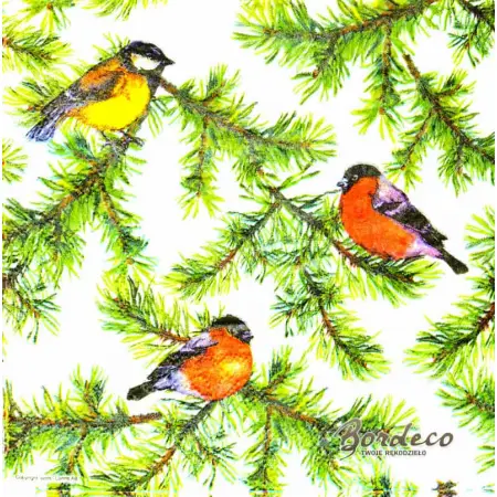 Serwetka do decoupage ptaszki na gałązkach świerku 25x25 PIXIE Unikat